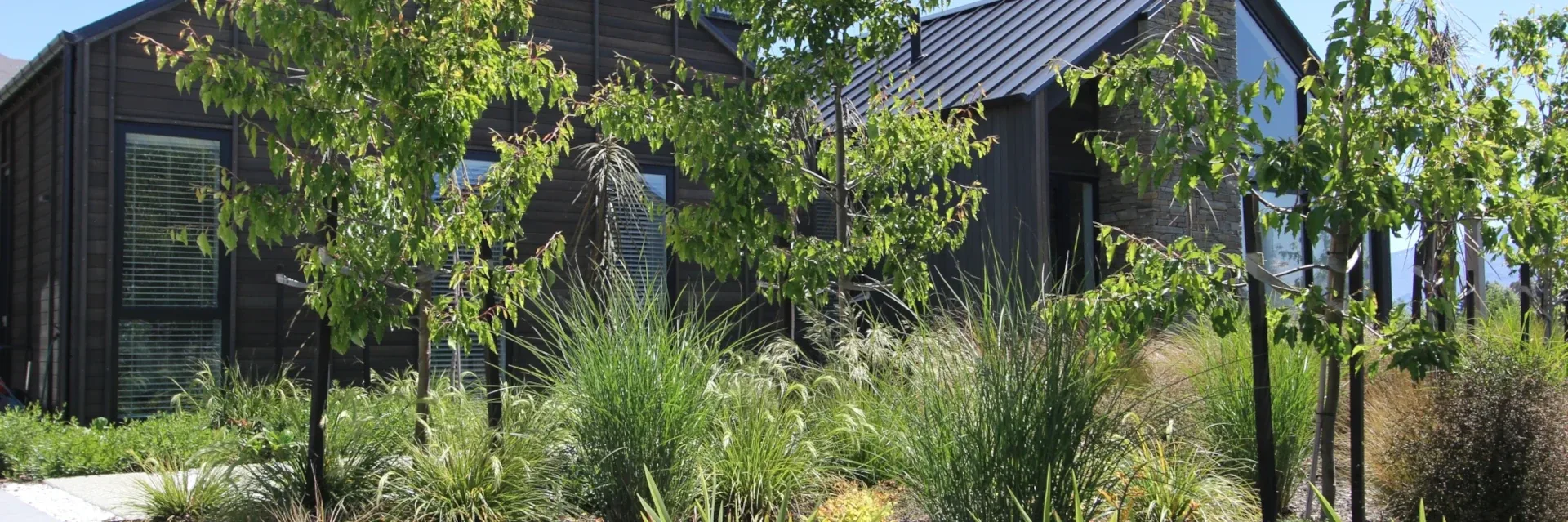 The Plant Store