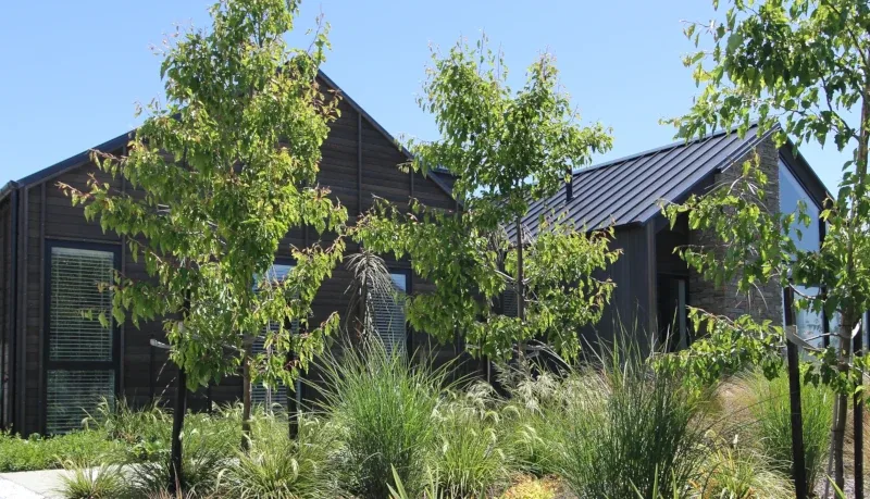 The Plant Store