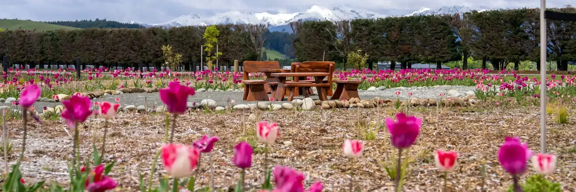 A Real New Zealand Farm Experience