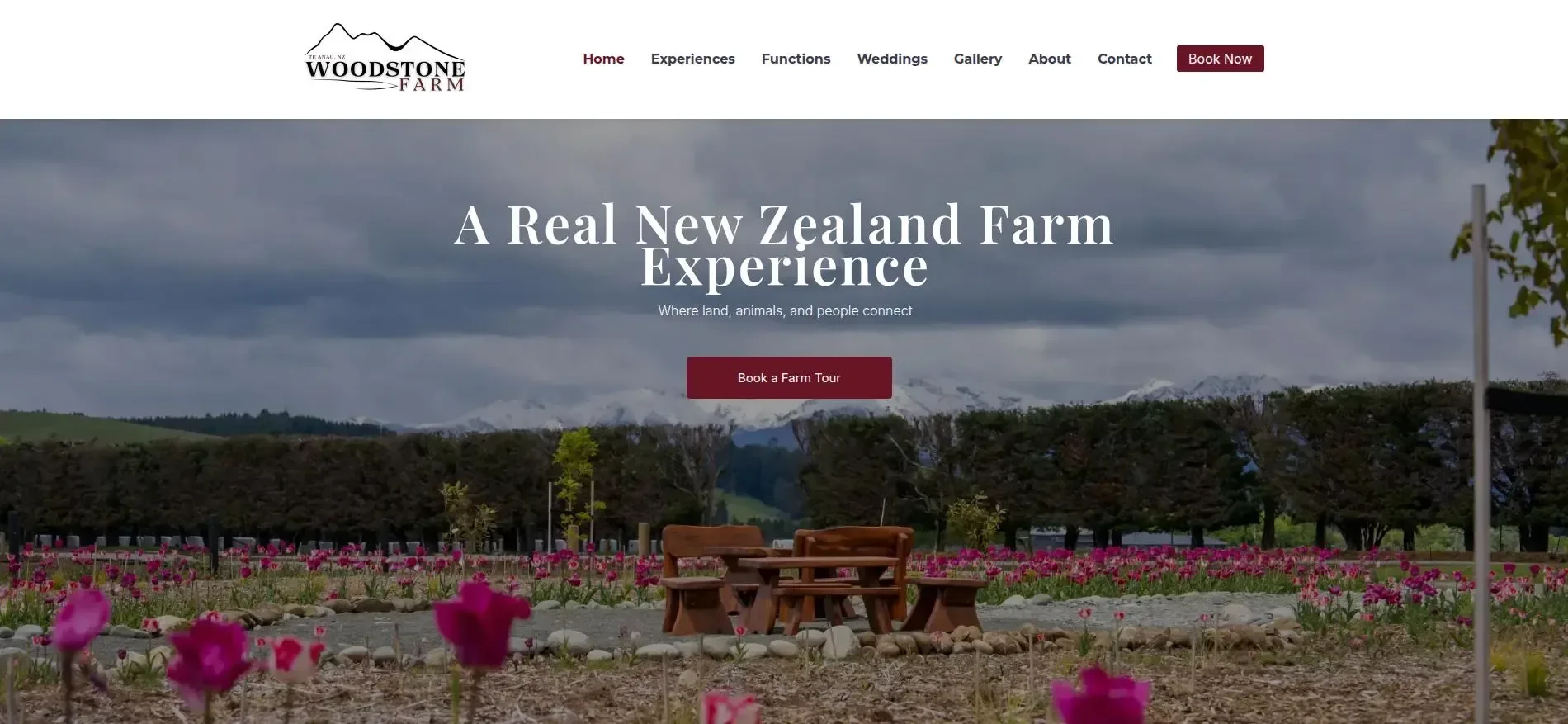 A Real New Zealand Farm Experience — image 1