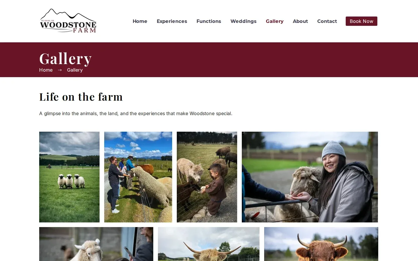 A Real New Zealand Farm Experience — image 3