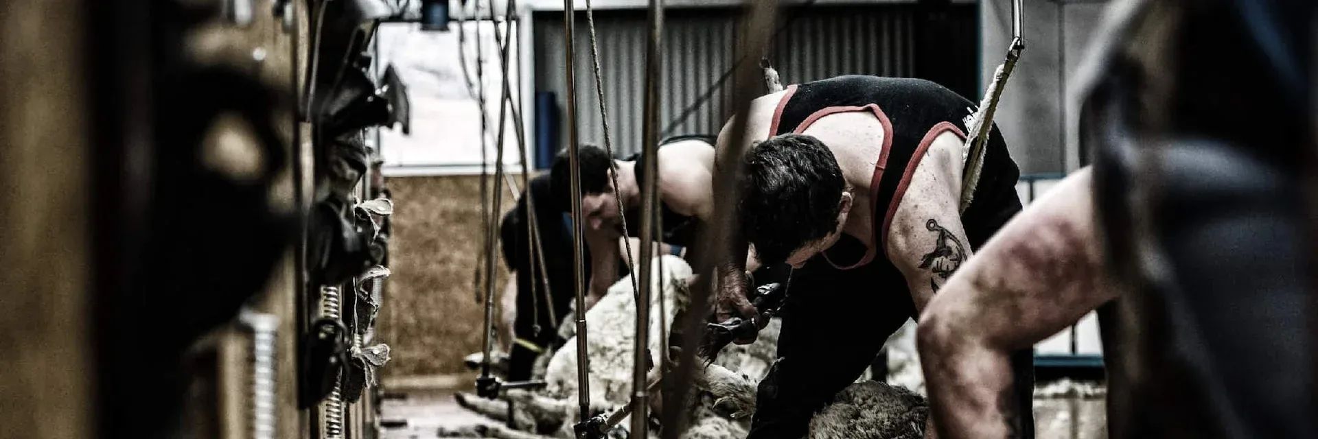 A Digital Home for a Proud Kiwi Tradition