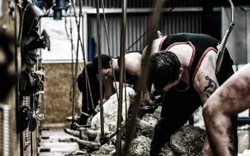 A Digital Home for a Proud Kiwi Tradition